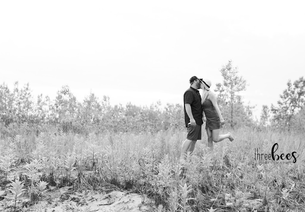 THREE BEES STUDIO | 10 Dorman St, Brighton, ON K0K 1H0, Canada | Phone: (613) 661-9166