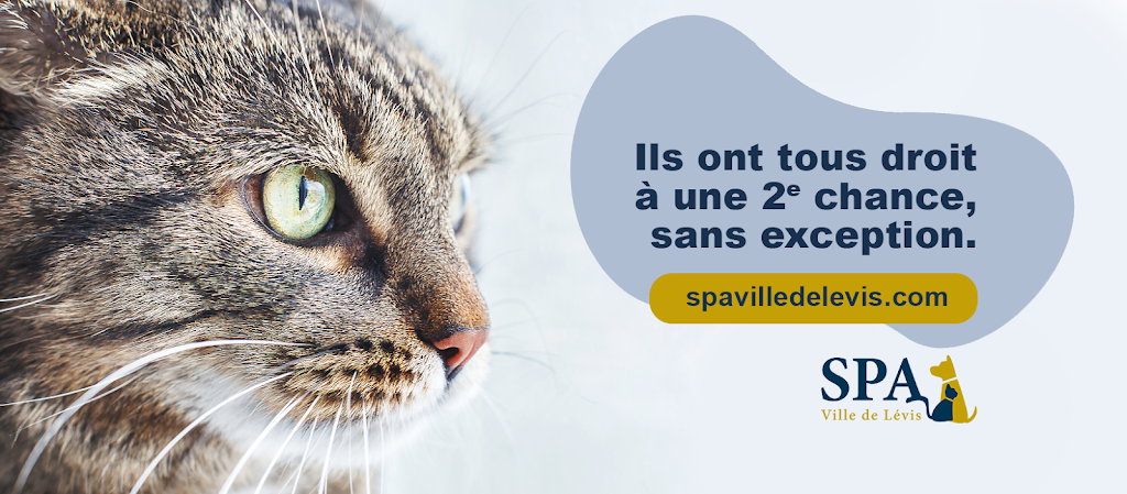 Société protectrice des animaux (SPA) Ville de Lévis | 8100 Rue du Blizzard, Charny, QC G6X 1C9, Canada | Phone: (418) 832-2525