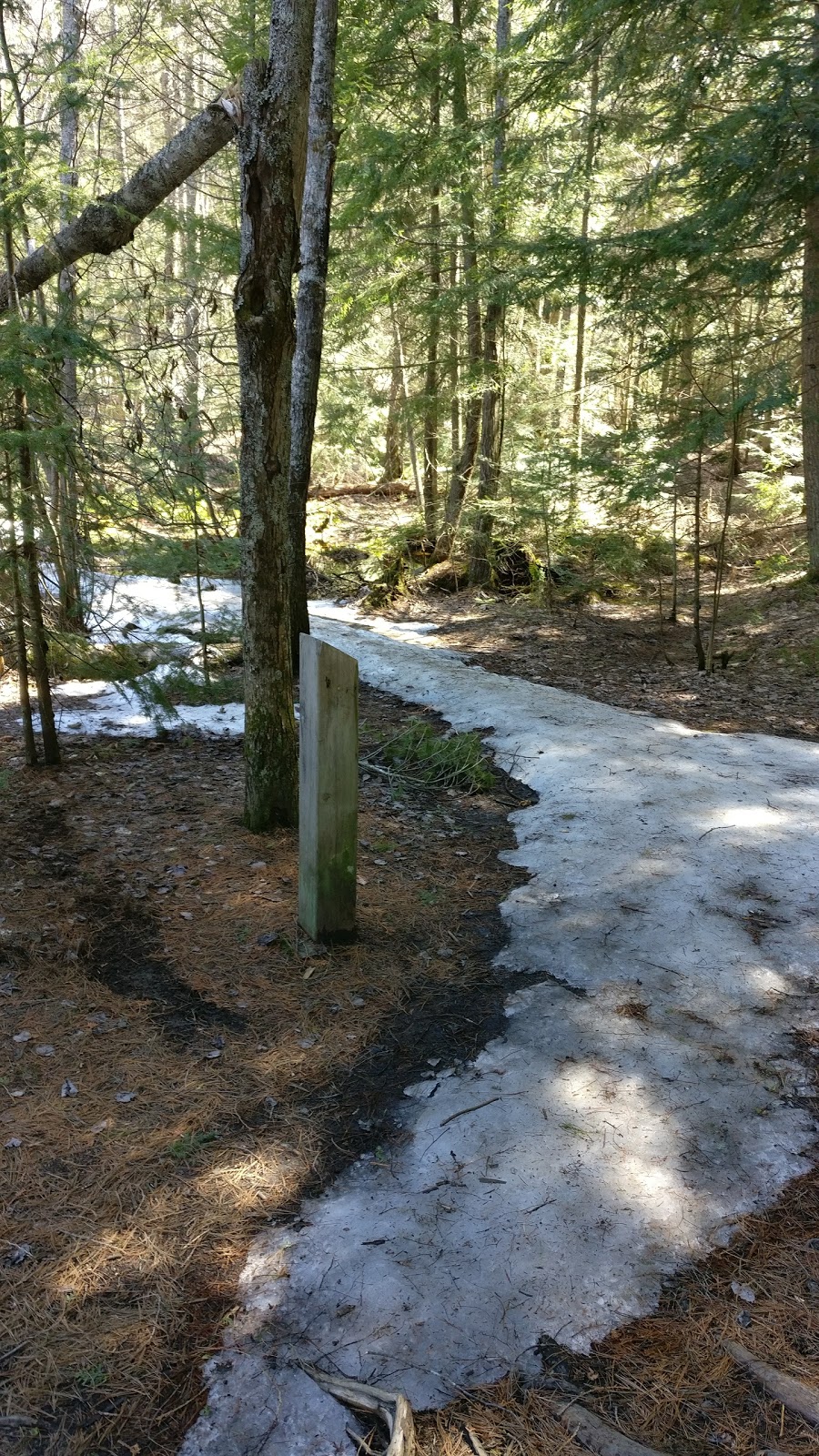 Fran Janes RMT | 459 Wilsons Falls Rd, Bracebridge, ON P1L 2G9, Canada | Phone: (705) 645-5510