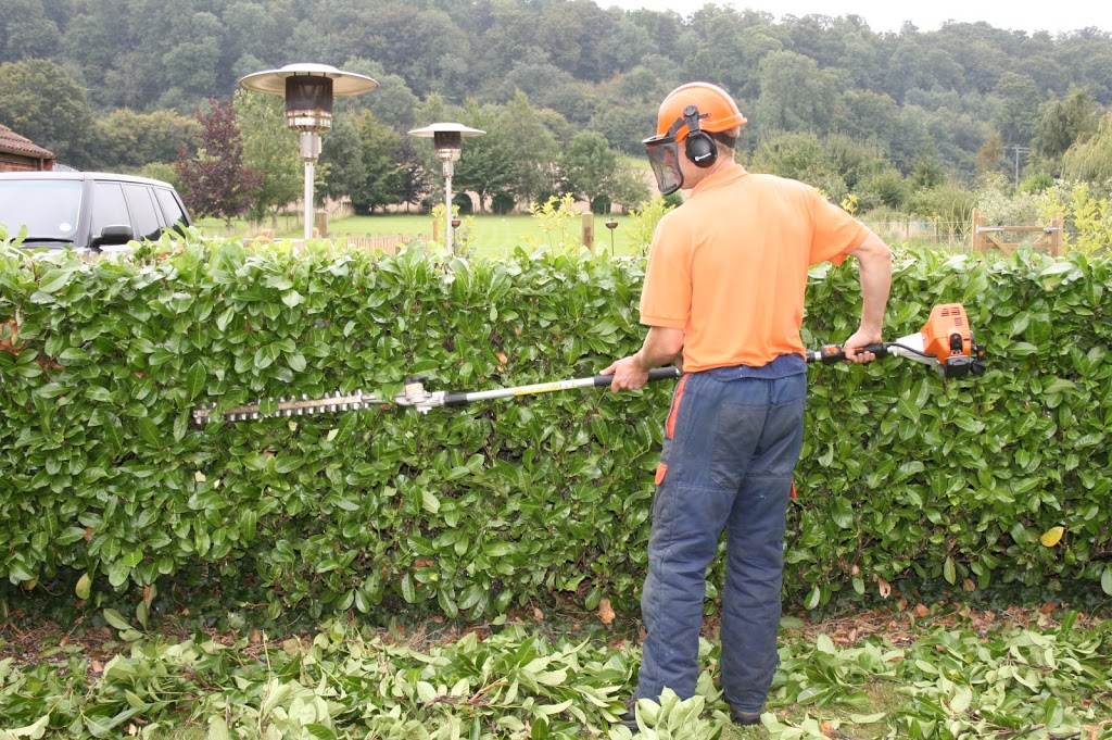 Basil Green Landscaping - Vancouver Lawn Care Service | 1661 Quebec St, Vancouver, BC V5T 1B4, Canada | Phone: (778) 319-7381