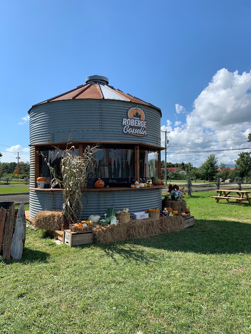 Ferme de Citrouilles Roberge et Gosselin | 1736 Chem. Royal, Saint-Pierre, QC G0A 4E0, Canada | Phone: (418) 952-2744