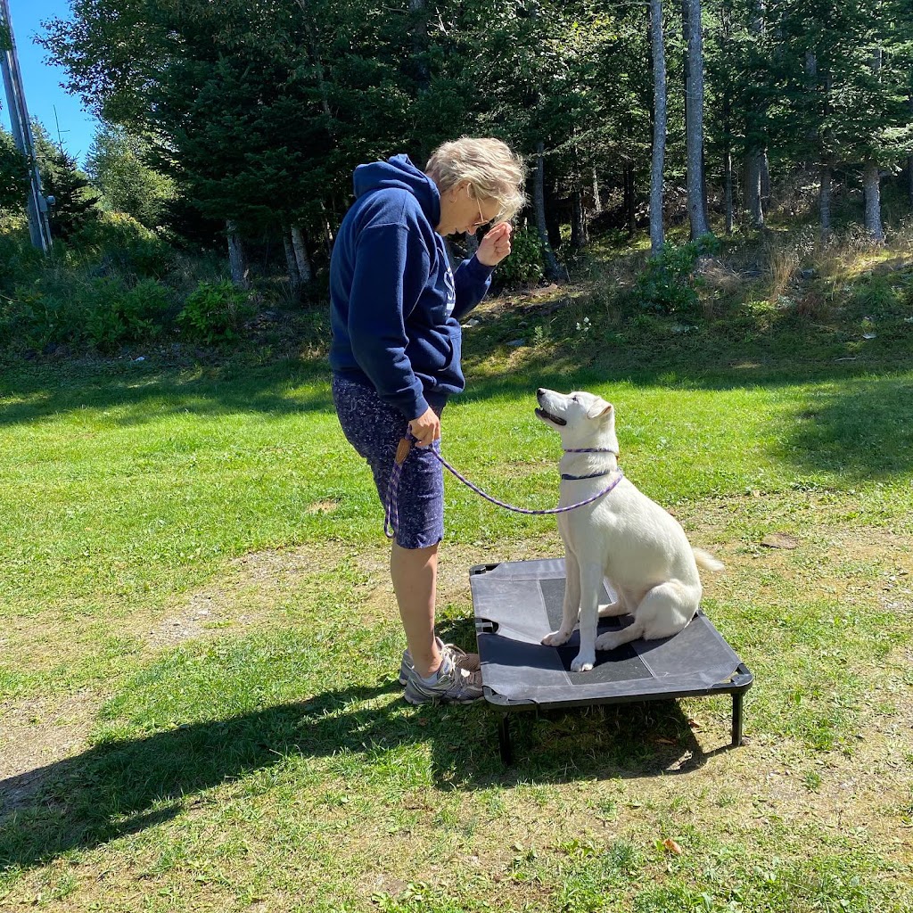 Balanced Doghouse | 229 Cheese Factory Rd, Goshen, NS B0H 1M0, Canada | Phone: (902) 870-4371
