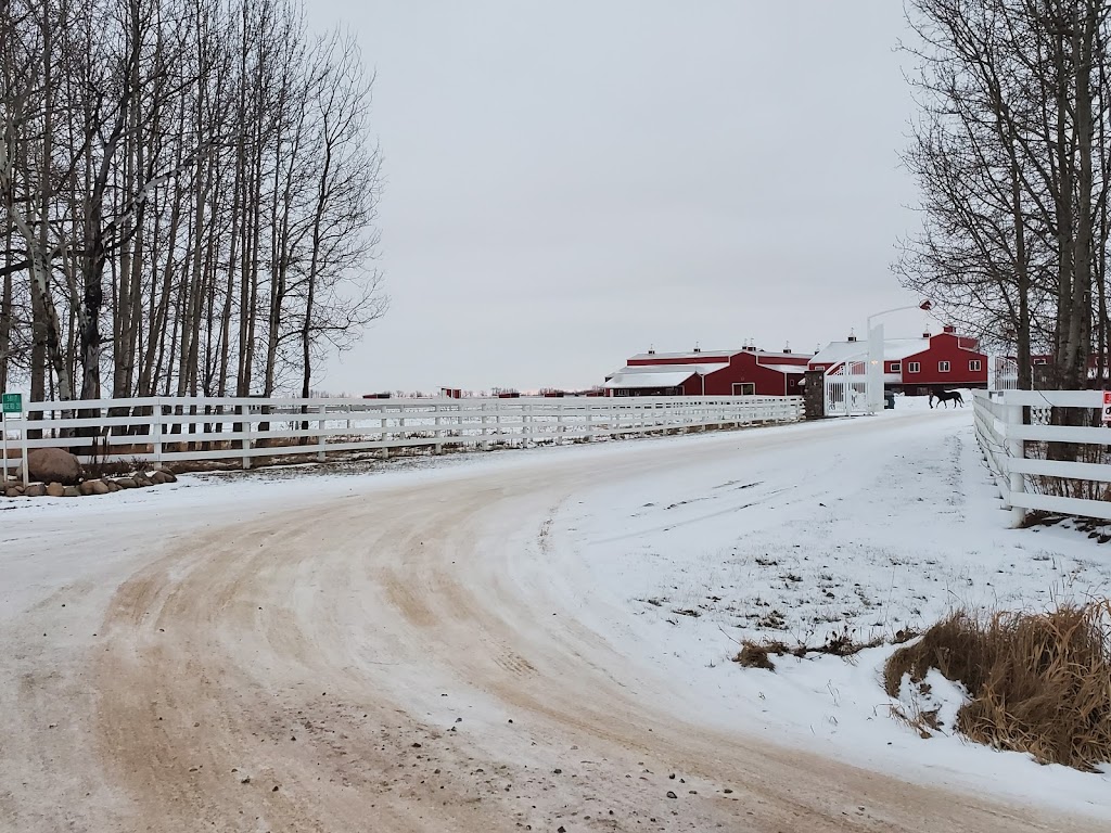 Westana Equine Training & Rehab Centre | 58117 Range Rd 211, Redwater, AB T0A 2W0, Canada | Phone: (780) 736-3537