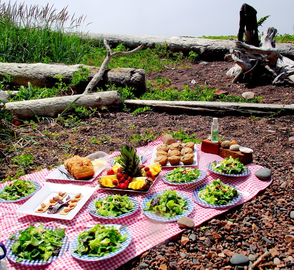 NovaShores Adventures | 37 School Ln, Advocate Harbour, NS B0M 1A0, Canada | Phone: (902) 392-2222