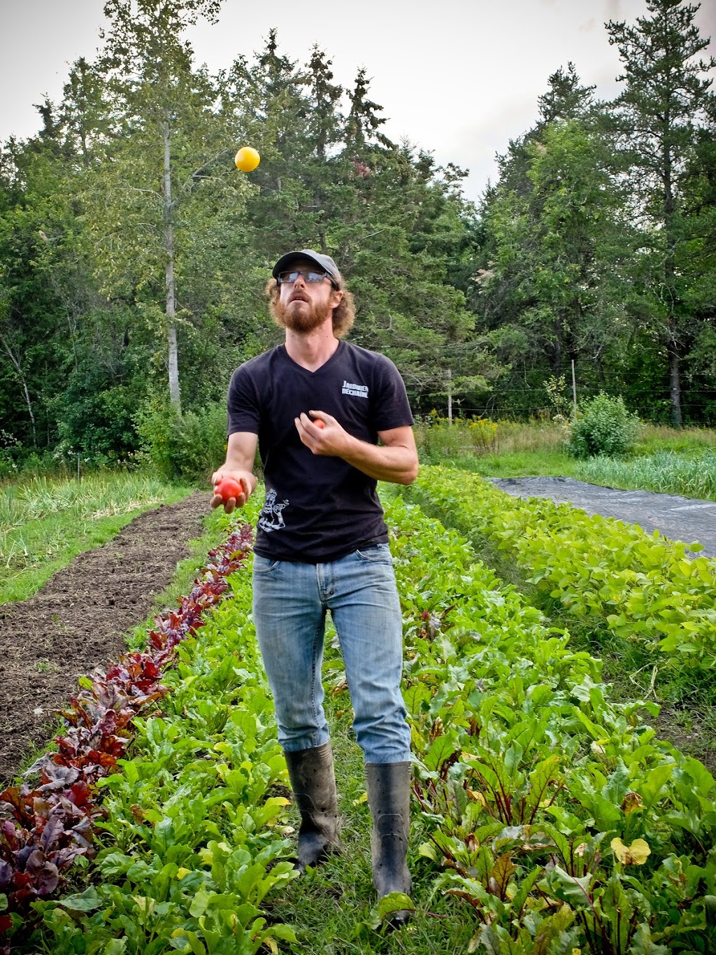 Ferme le Jardinier déchaîné | 429 QC-253, Cookshire-Eaton, QC J0B 1M0, Canada | Phone: (819) 875-1683