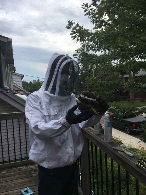 Contact Pest Control | 1955 Victoria Park Ave #10, Scarborough, ON M1R 0C9, Canada | Phone: (647) 709-4856