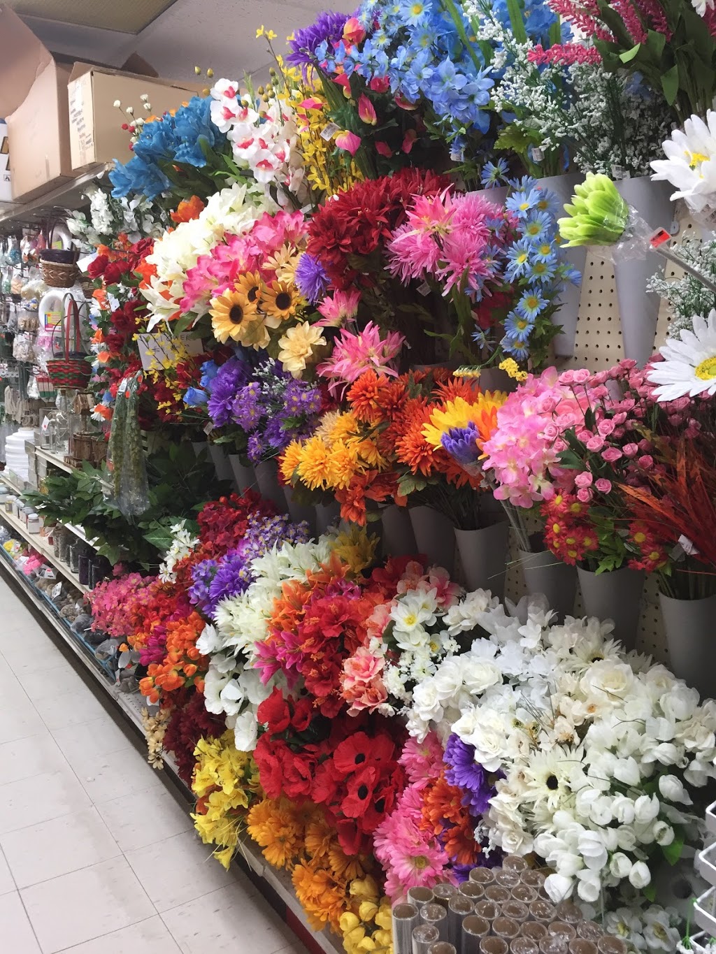 Canadian Dollars Store | 38 Main St E, Ridgetown, ON N0P 2C0, Canada | Phone: (519) 674-2002