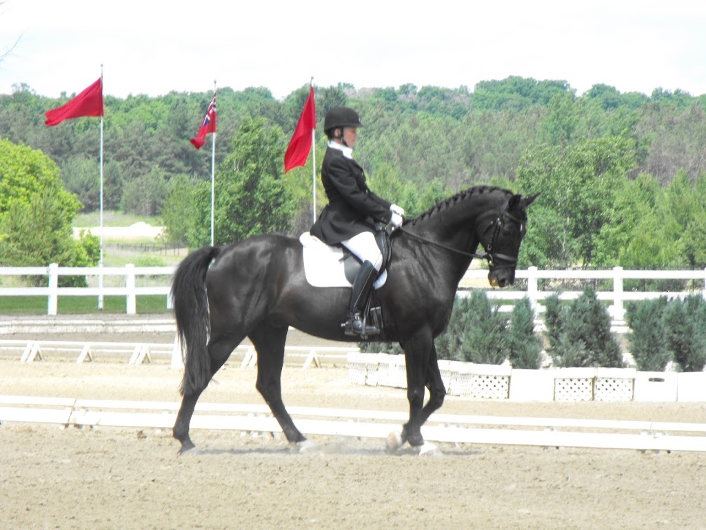 QUASAR EQUESTRIAN LTD. | 890 Davis Dr W, Newmarket, ON L3Y 4V9, Canada | Phone: (905) 252-6177