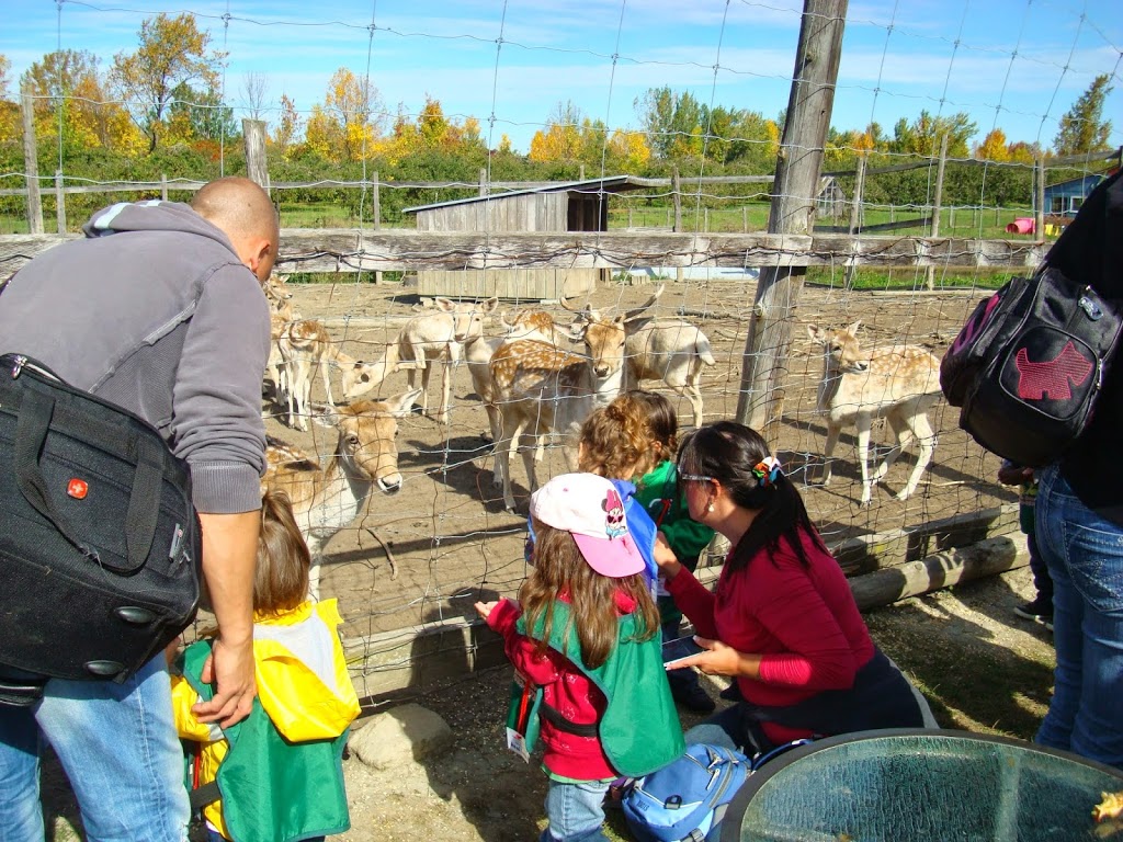 Garderie Educative 1-2-3 Soleil | 1120 Boulevard Basile-Routhier, Repentigny, QC J5Y 3W8, Canada | Phone: (450) 932-7373