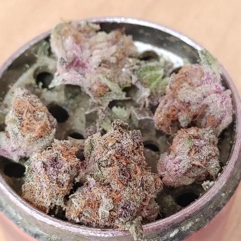 The Budway | 63 ON-49, Tyendinaga, ON K0K 1X0, Canada | Phone: (613) 967-9333