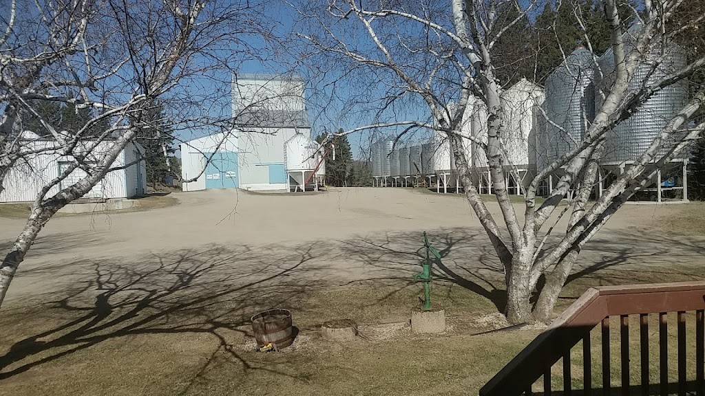 Durand Seeds Inc. | Notre Dame de Lourdes, MB R0G 1M0, Canada | Phone: (204) 248-2268