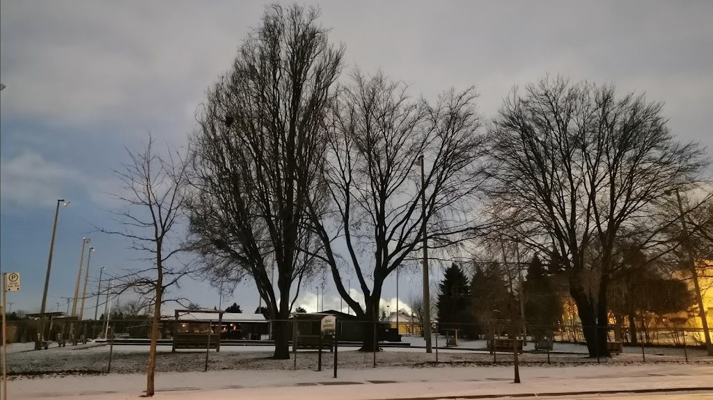 Agincourt Lawn Bowling Club | 15 Heather Rd, Scarborough, ON M1S 2E1, Canada | Phone: (416) 396-5547