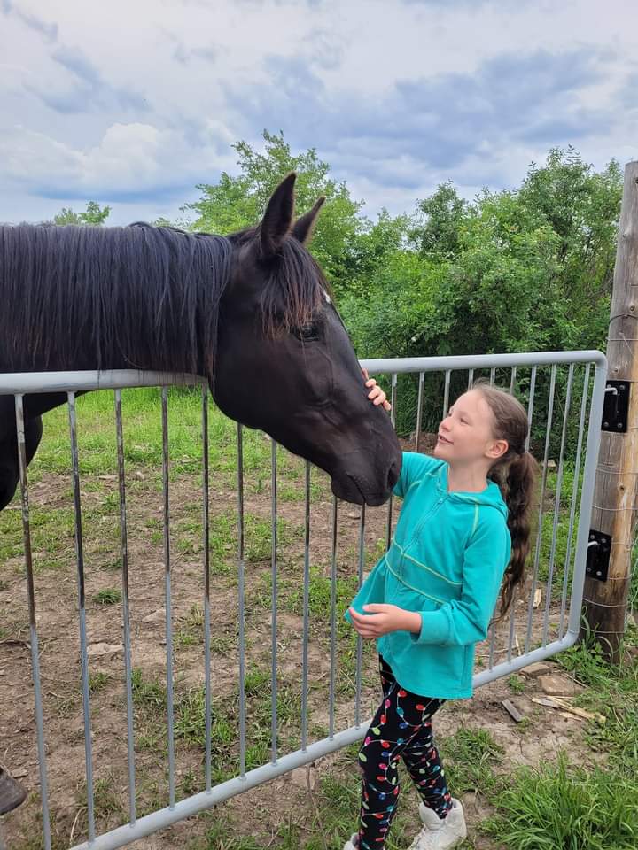 STARDUST ACRES A FLAHERTY FARM | 205 Pickerel Point Rd RR6, Lindsay, ON K9V 4R6, Canada | Phone: (705) 344-5580