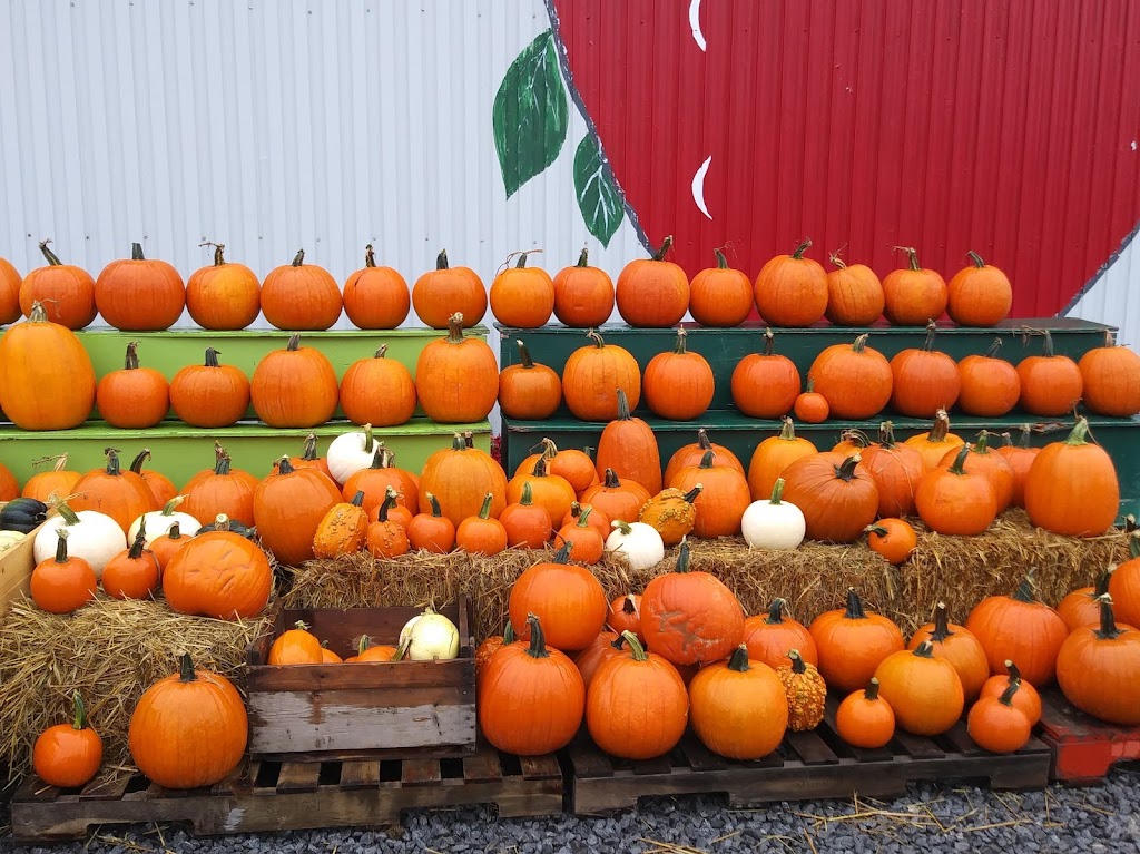 Ferme Laval Gagnon inc | 2208 Chem. Royal, Sainte-Famille, QC G0A 3P0, Canada | Phone: (418) 829-2495