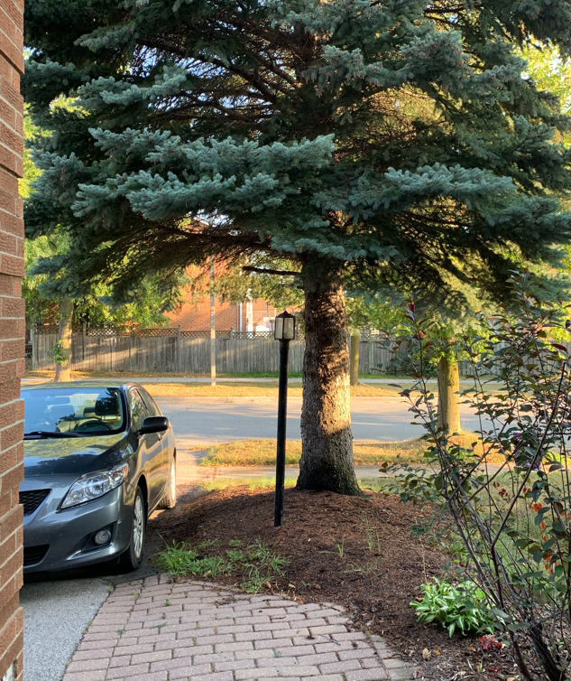Davey Tree Expert Co. of Canada, Limited | 611 Tradewind Dr #500, Ancaster, ON L9G 4V5, Canada | Phone: (800) 465-6367
