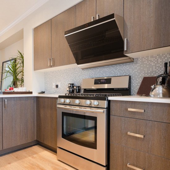 方太厨房电器，橱柜Fotile Appliances& kitchen Cabinet | 322-3980 Shelbourne St, Victoria, BC V8N 6J1, Canada | Phone: (250) 891-7758