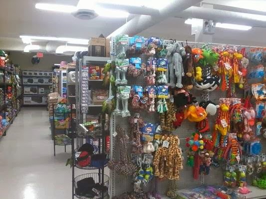 Mr. Pets | 201 Bewicke Ave, North Vancouver, BC V7M 3M7, Canada | Phone: (778) 340-1102