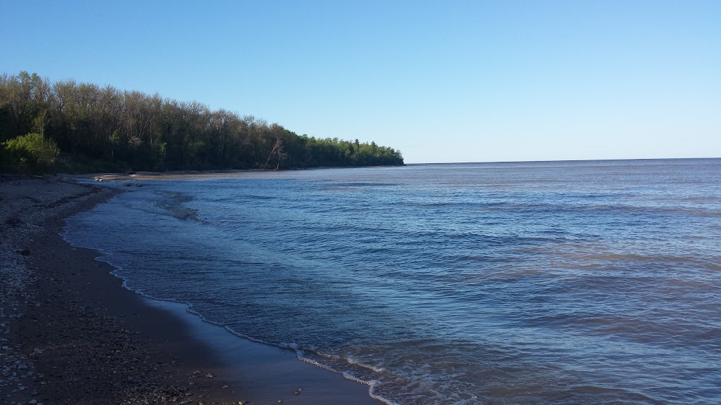 Minerva Tree Farms and Nursery | 108041 8 Pth, Gimli, MB R0C 1B0, Canada | Phone: (204) 642-8643