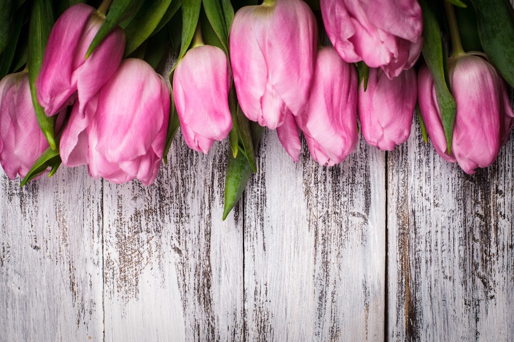 GARDENWORKS COURTENAY | 2855 Wentworth Rd, Courtenay, BC V9N 6B7, Canada | Phone: (250) 334-3024