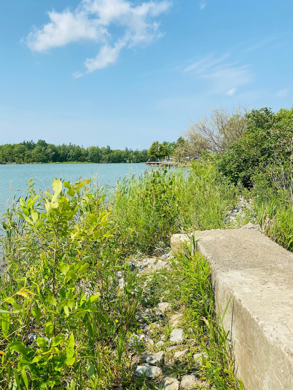 Binbrook Conservation Area | 5050 Harrison Rd, Binbrook, ON L0R 1C0, Canada | Phone: (905) 692-3228