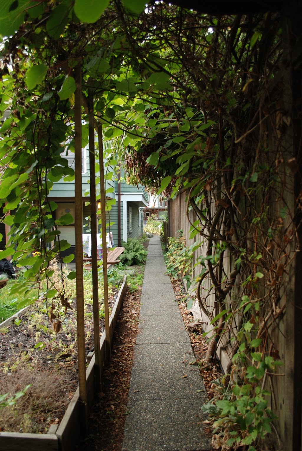 EcoLoft Vacation Rental Suite | 1157 E 23rd Ave, Vancouver, BC V5V 1Y8, Canada | Phone: (604) 734-2827