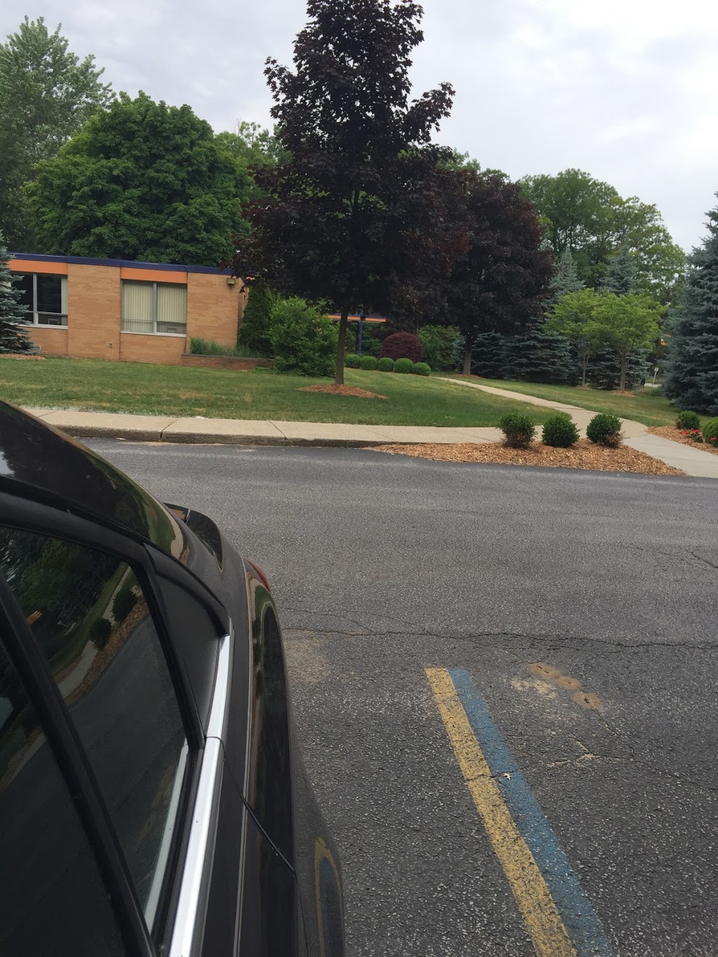 Blue Water Counseling | 1501 Krafft Rd, Fort Gratiot Twp, MI 48059, USA | Phone: (810) 985-5125