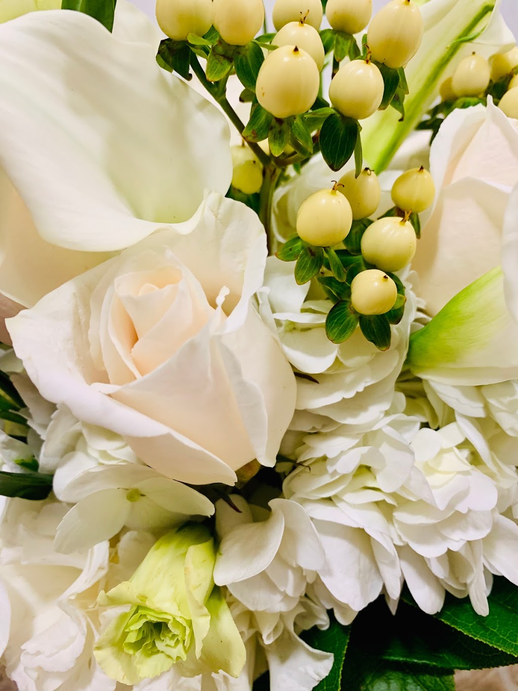The Blossom & Bloom Co. | Shipview Court, Welland, ON L3B 0A7, Canada | Phone: (289) 925-7003