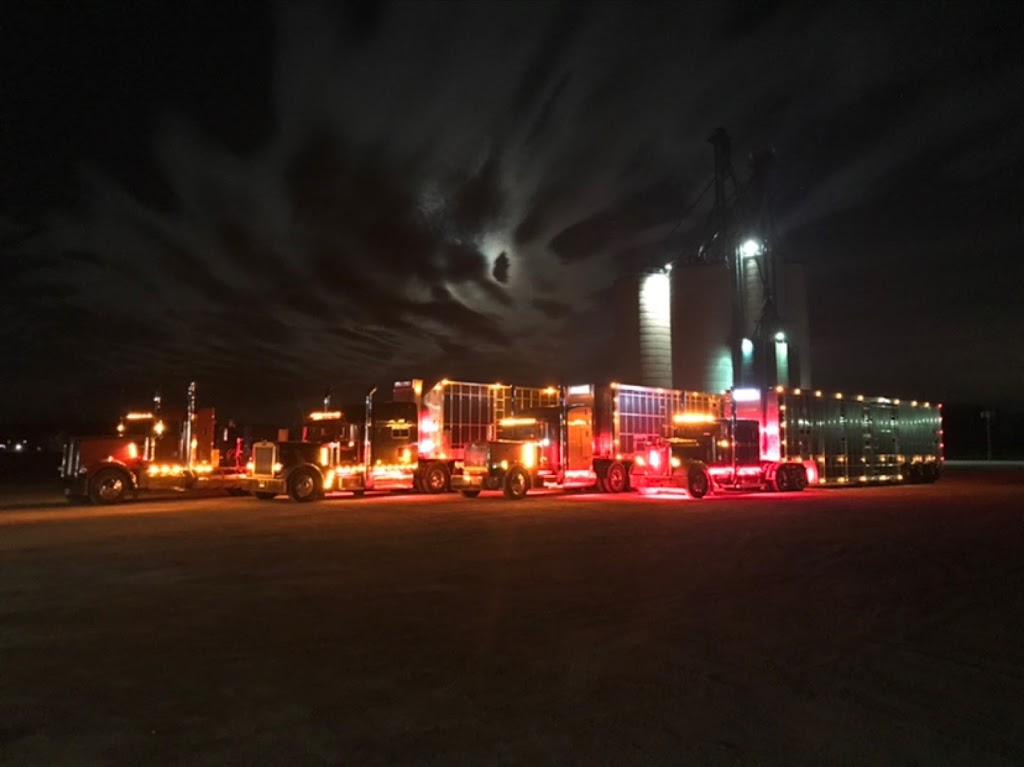 Streicher Transport | 7422 Road 129, Listowel, ON N4W 3G9, Canada | Phone: (519) 595-4898
