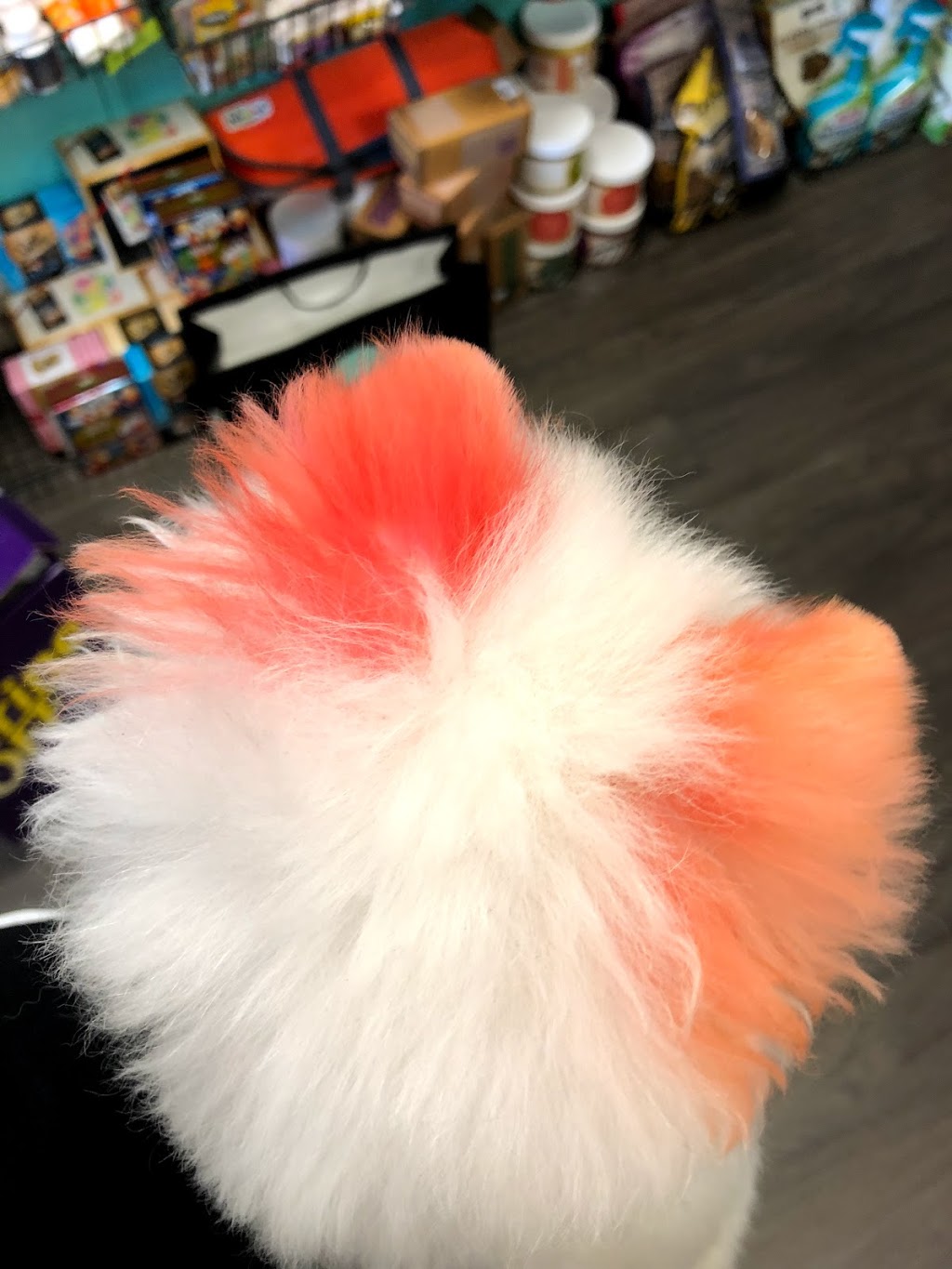 One de Fur pets spa and boutique | 4550 Hastings St, Burnaby, BC V5C 0E9, Canada | Phone: (604) 299-8200