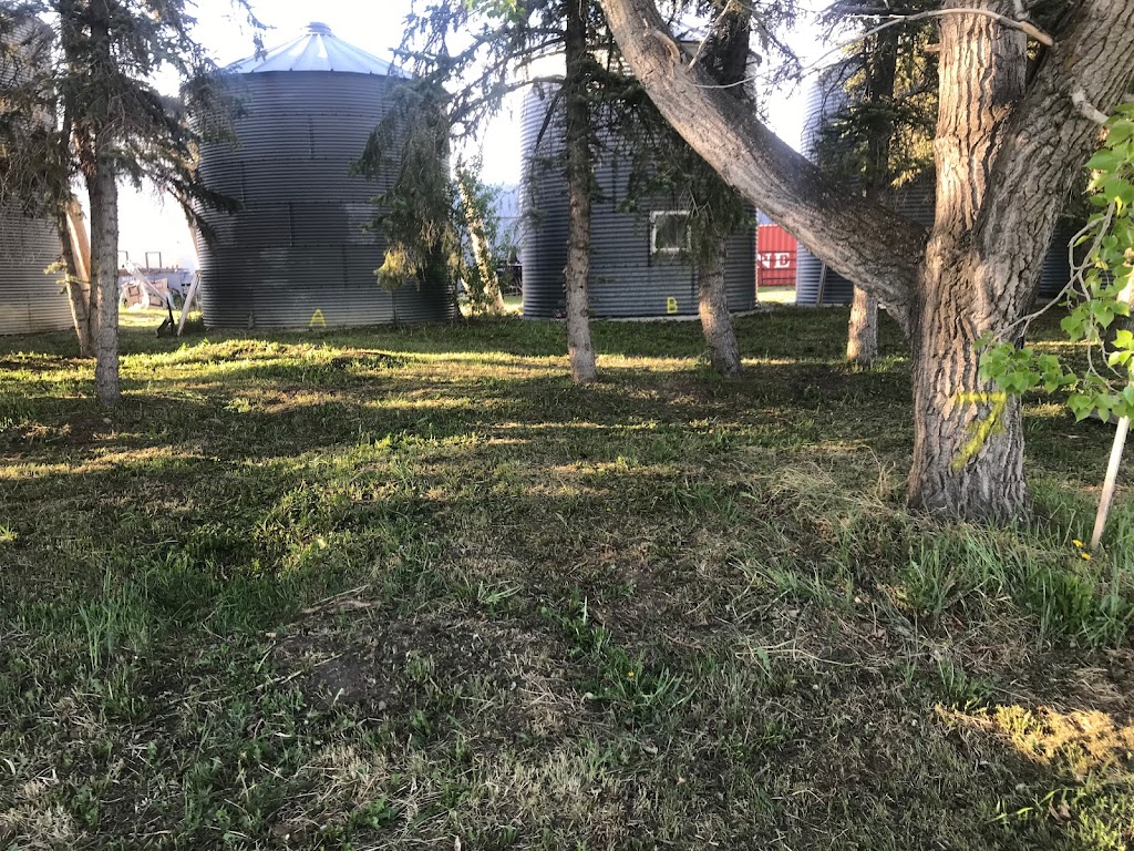 Camp Indus | 230099 Range Rd 281, Alberta T1X 0H9, Canada | Phone: (403) 606-8487