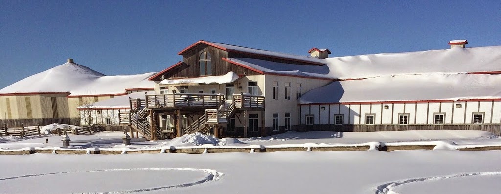 KL Equine | 104 Chemin Mclinton, Wakefield, QC J0X 3G0, Canada | Phone: (873) 353-0960