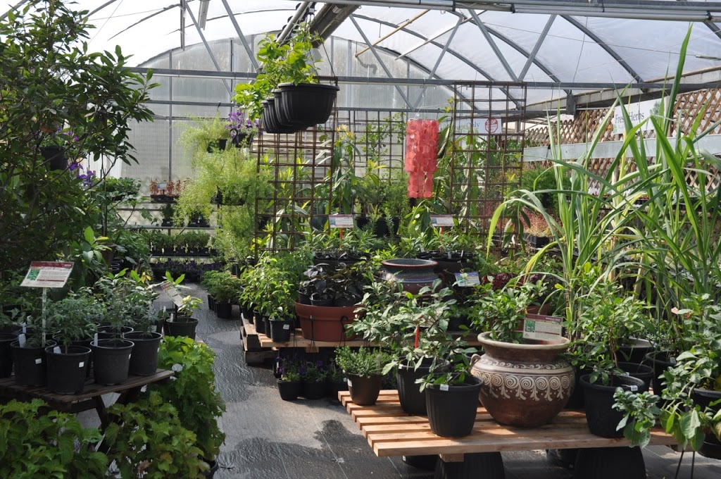 Sage Gardens Greenhouses | 3410 St Marys Rd, Winnipeg, MB R2N 4E2, Canada | Phone: (204) 257-2715