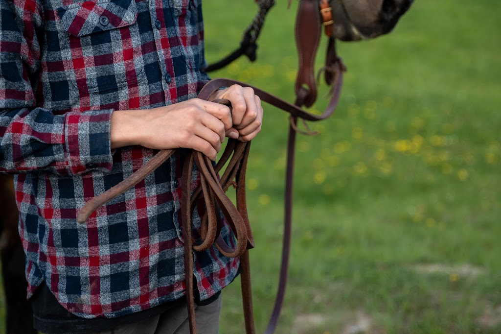 Freedom Equine Association | 4344 Fenwick Rd, Wardner, BC V0B 2J0, Canada | Phone: (250) 430-2233