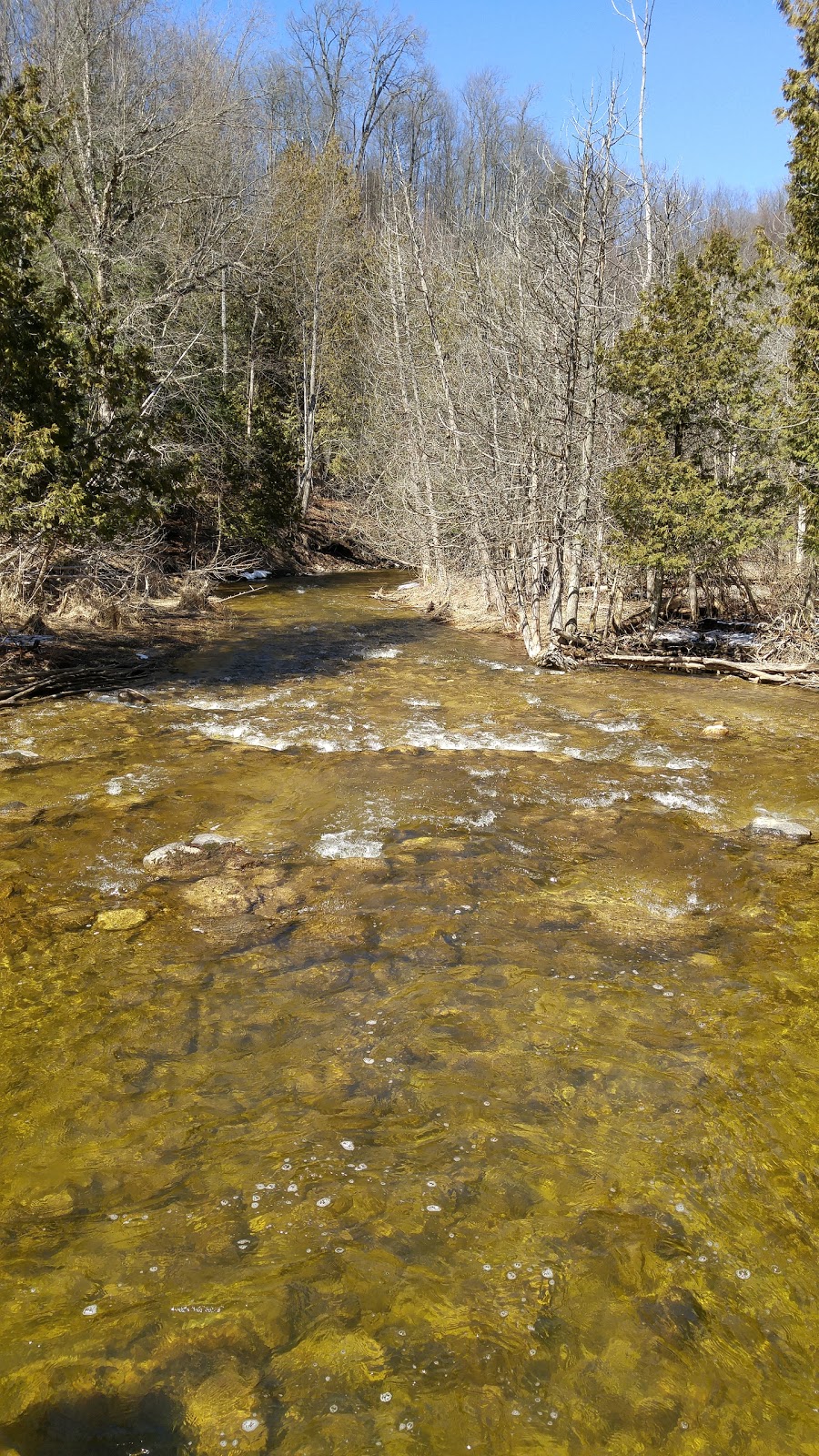 Noisy River Provincial Park | Creemore, ON L0M 1G0, Canada | Phone: (705) 429-2516
