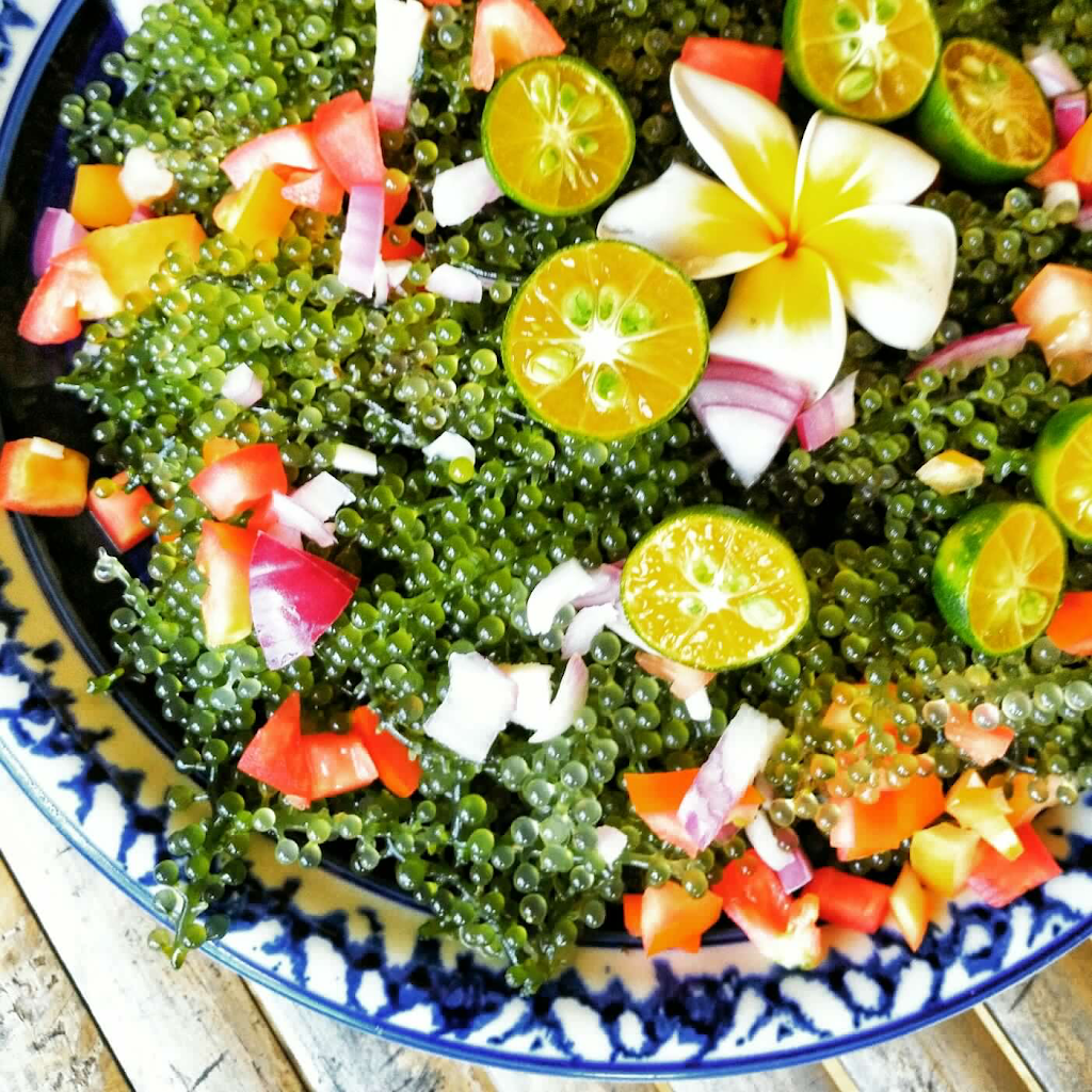 Healthy Foods By Gin | 638 John Kennedy Way, Almonte, ON K0A 1A0, Canada | Phone: (613) 318-4095