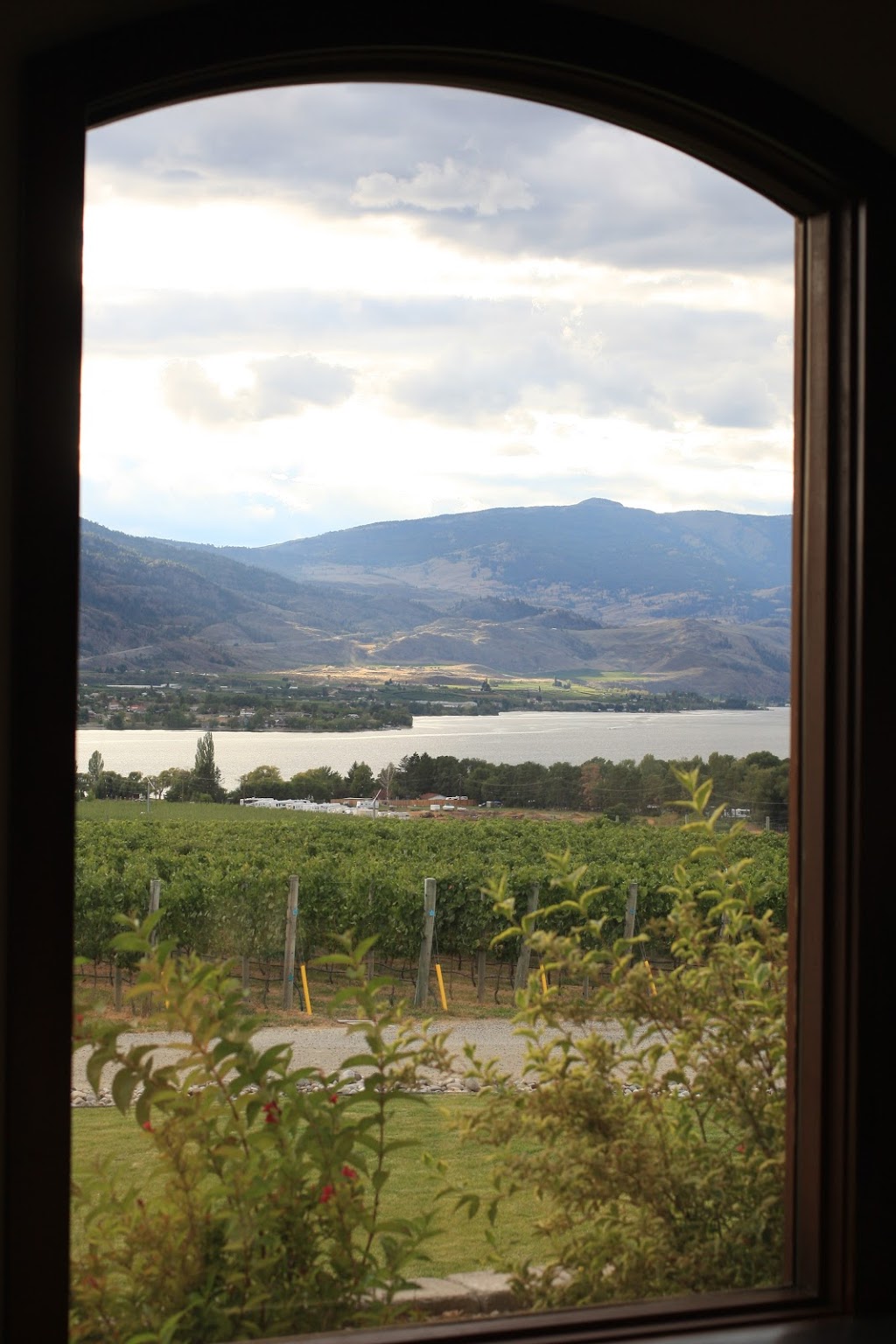 Moon Curser Vineyards | 3628 BC-3, Osoyoos, BC V0H 1V6, Canada | Phone: (250) 495-5161