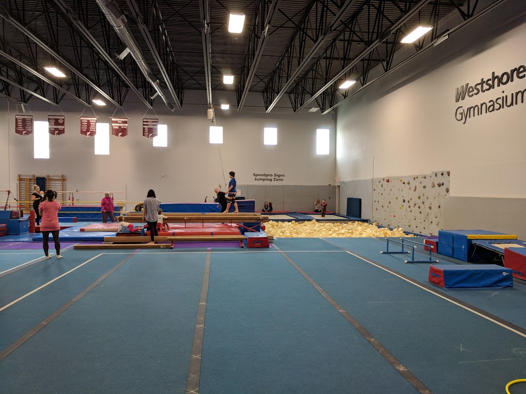 Delta Gymnastics Society | 4680 Clarence Taylor Crescent, Delta, BC V4K 3X3, Canada | Phone: (604) 943-0460
