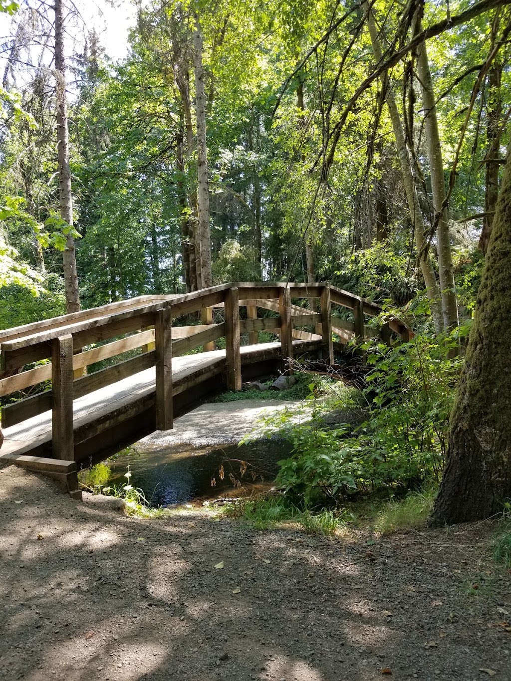 Puntledge Park | 401 Willemar Ave, Courtenay, BC V9N 3L3, Canada | Phone: (250) 334-4441