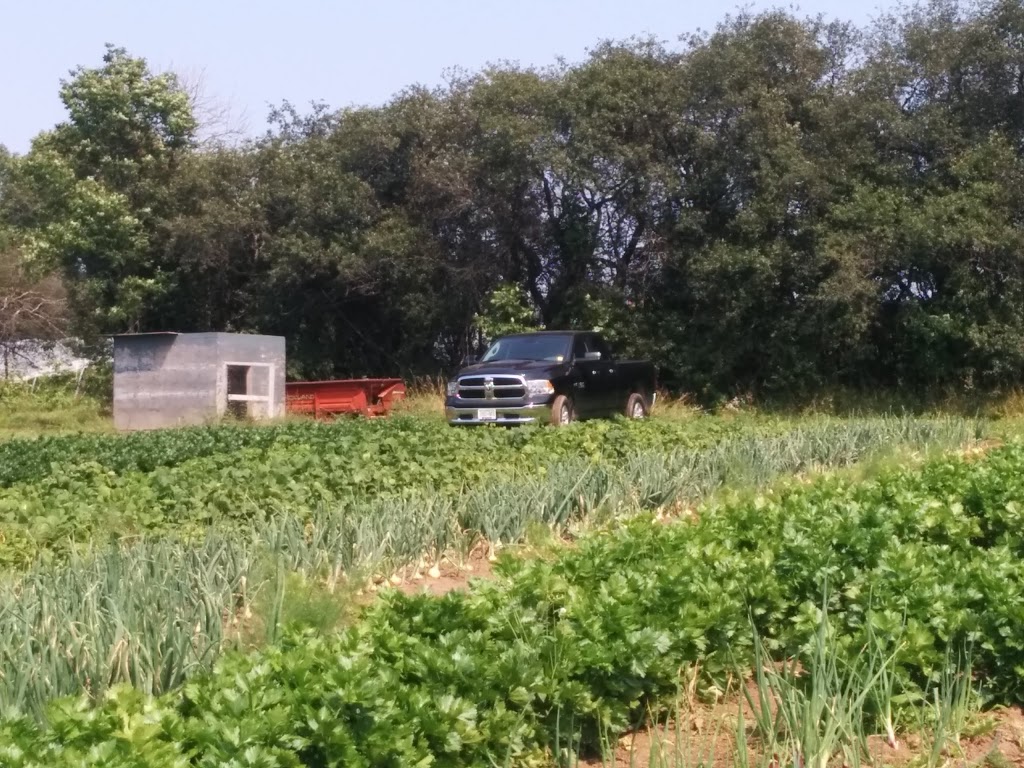 Marvellous Edibles Farm | 617930 Grey Rd 18, Owen Sound, ON N4K 5W4, Canada | Phone: (519) 372-2107