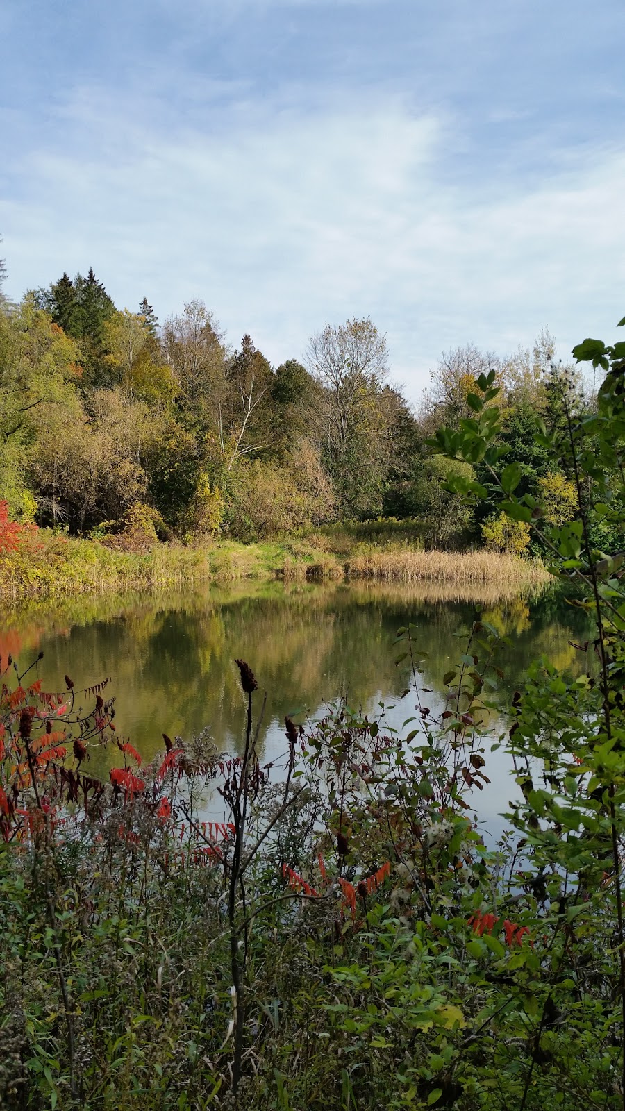 Welsh Tract - Forest Of The Secret Pond Trail | 3741-4367 Line 12, Cookstown, ON L0L 1L0, Canada