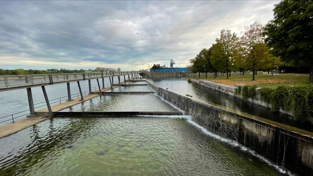 Parc du Bassin-Bonsecours | Port St, Montreal, QC H2Y 0B4, Canada | Phone: (514) 872-0311