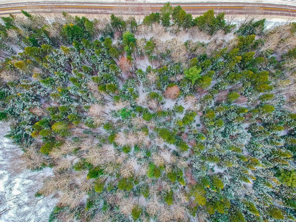 Parc mauricie | Saint-Mathieu-du-Parc, QC G0X 1N0, Canada
