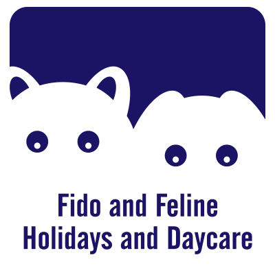 Fido & Feline Holidays and Daycare | point of interest | 7 Oak St, Guelph, ON N1G 4R7, Canada | 5198362813 OR +1 519-836-2813