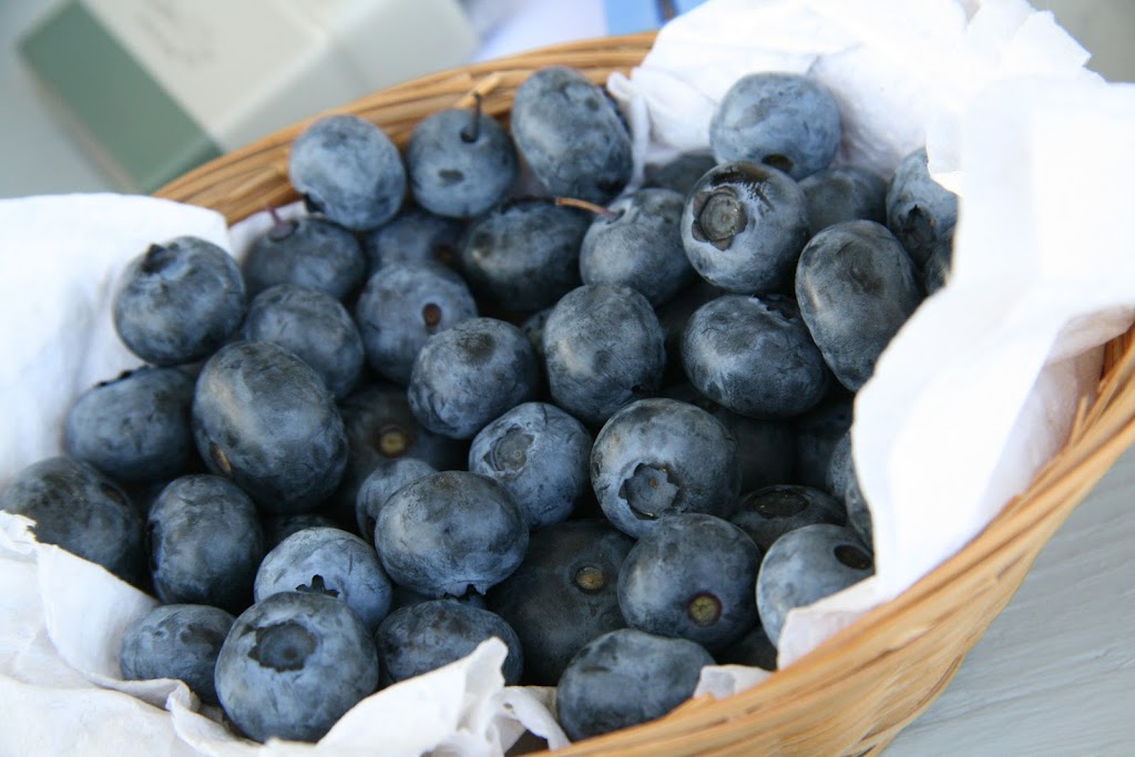 Marché Public de Farnham | 313 Rue de lHotel-de-Ville, Farnham, QC J2N 2H1, Canada | Phone: (450) 293-3326