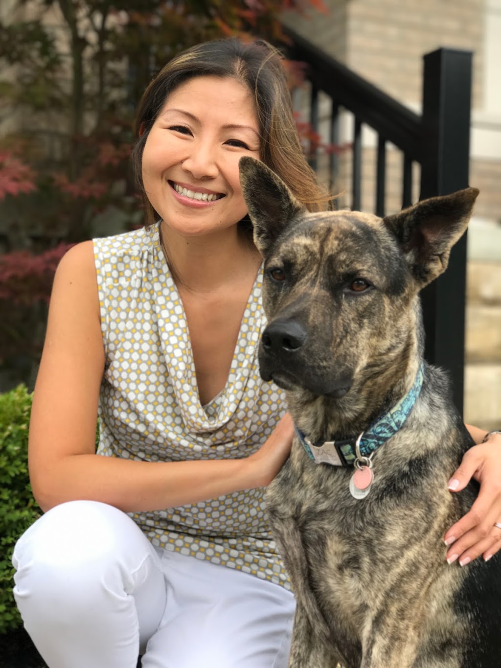 York Mobile Veterinary Services | corner of mccowan rd and, Major Mackenzie Dr E, Markham, ON L6C 2L1, Canada | Phone: (647) 953-0709