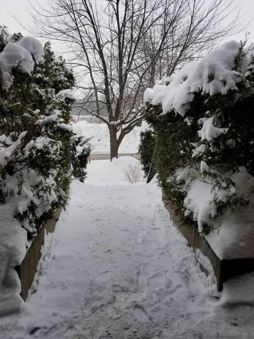 Beacon Hill Park | 100 Harwood Gate, Beaconsfield, QC H9W 2Z3, Canada | Phone: (514) 872-0311