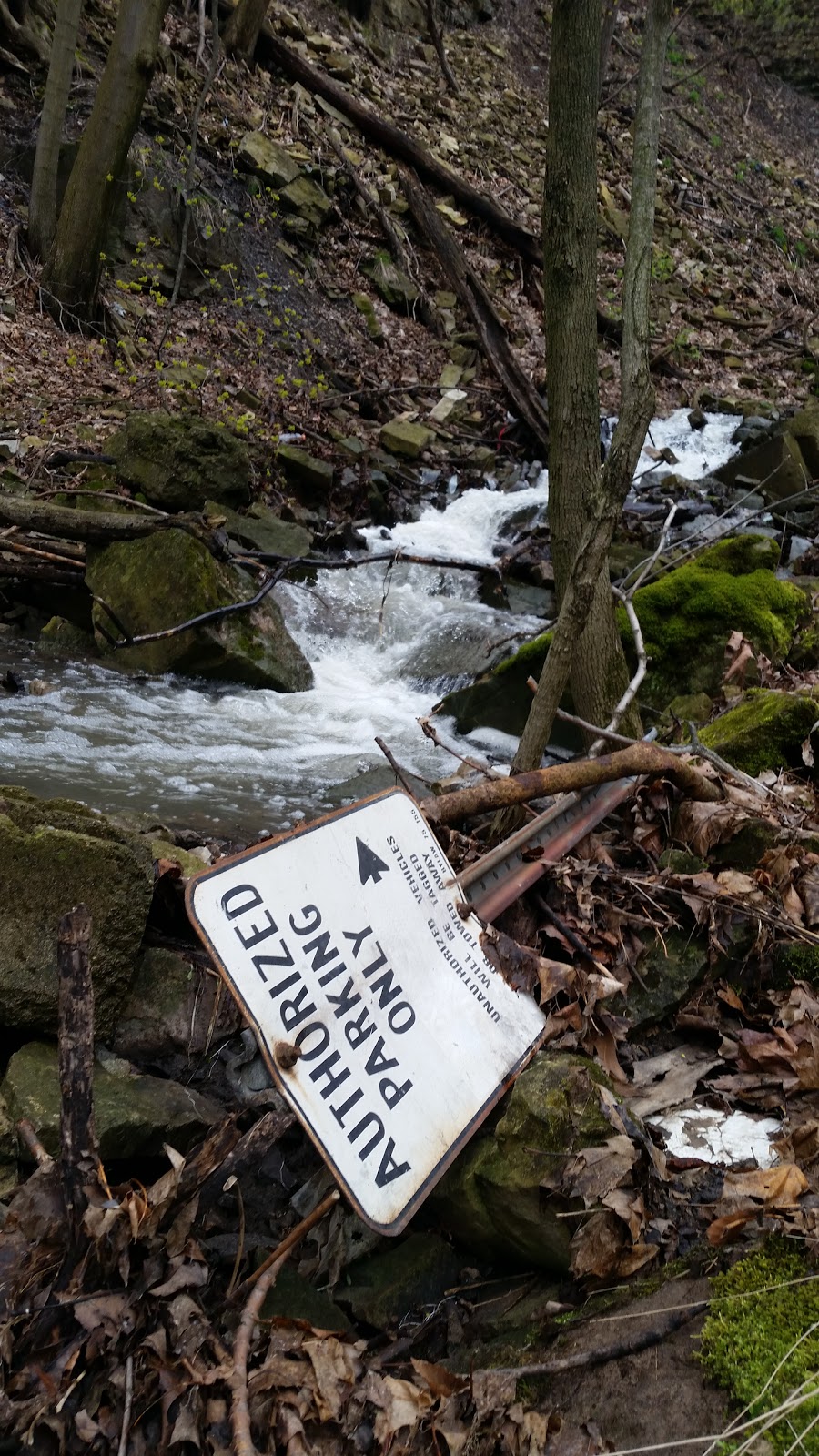 Mountview Waterfall | 985 Scenic Dr, Hamilton, ON L9C 1H7, Canada