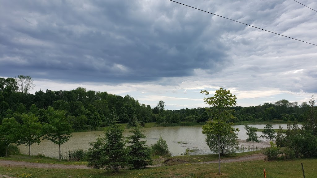 Crew Cut Property Maintenance Inc | 152 Lakeview Rd, Newcastle, ON L1B 1C8, Canada | Phone: (905) 809-5604