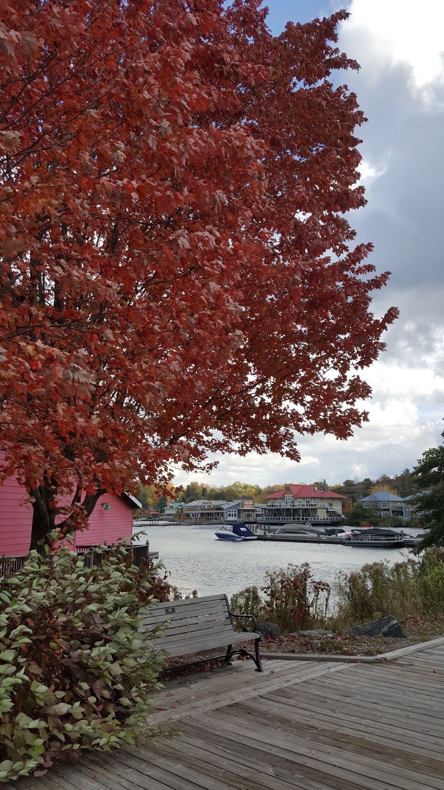 Muskoka Discovery Centre | 275 Steamship Bay Rd, Gravenhurst, ON P1P 1Z9, Canada | Phone: (705) 687-2115