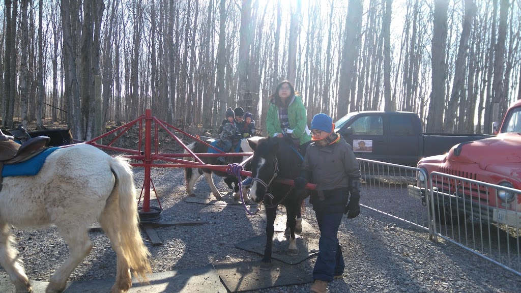 Regal Point Elk Farm | 462081, Concession Rd 24, Georgian Bluffs, ON N0H 2T0, Canada | Phone: (519) 373-7574